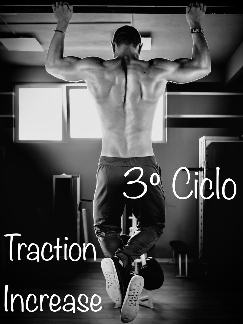 3° Ciclo "Traction Increase" (progr. di allenamento)