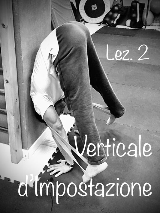 Verticale d' Impostazione Lez. 2 (Handstand Press)