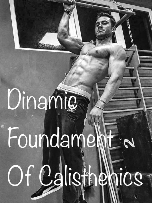 Calisthenics: dinamici fondamentali (videocorso)