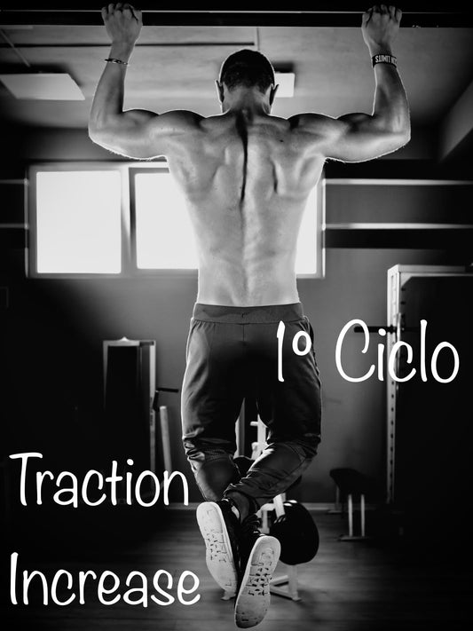 1° Ciclo "Traction Increase" (progr. di allenamento)