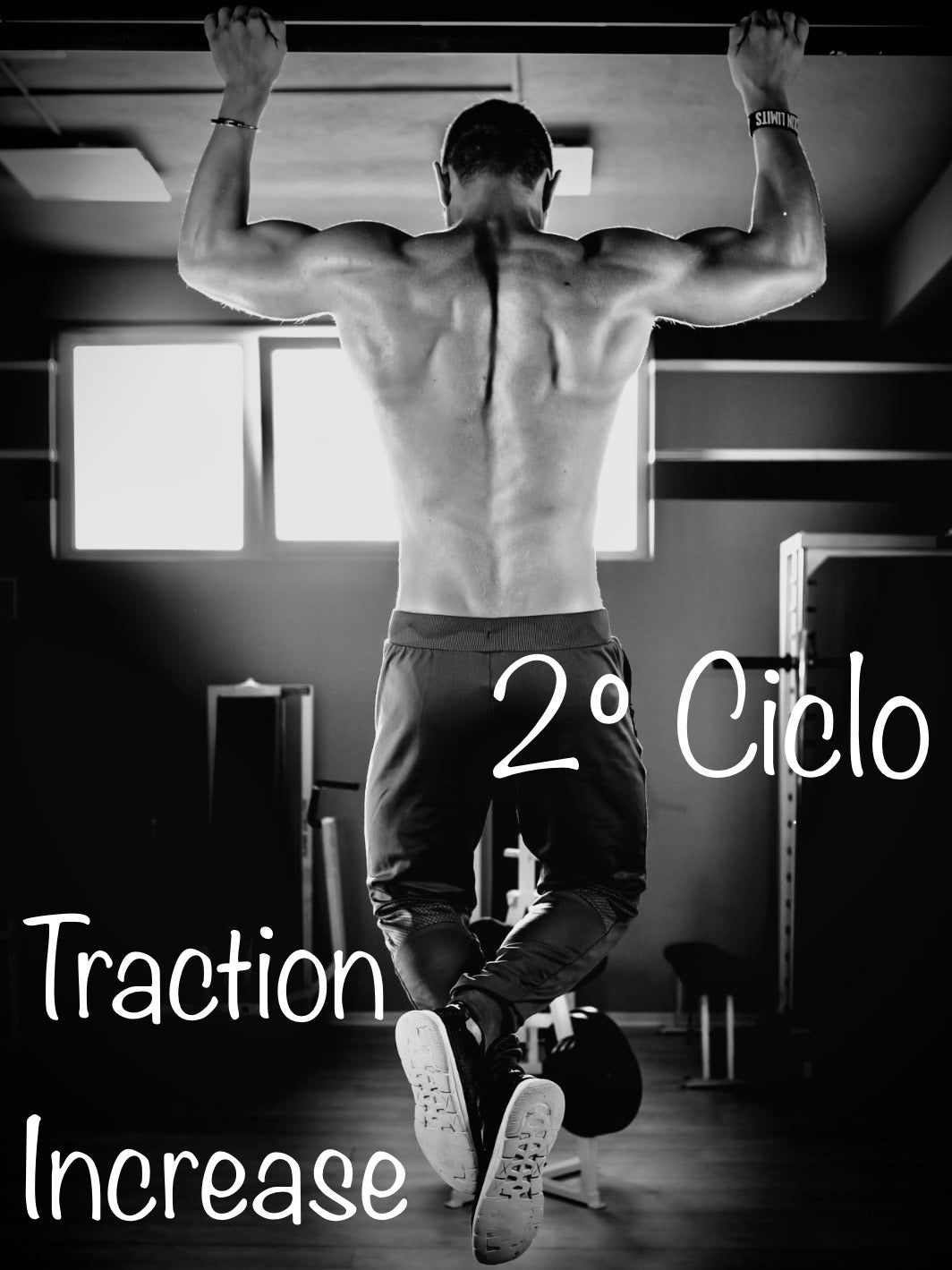 2° Ciclo "Traction Increase" (progr. di allenamento)